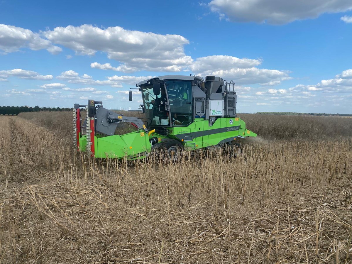 Groupe_ISSIPA's tweet image. C&apos;est parti pour la récolte des essais #colza à 📍Monceau-le-Waast 

#moisson2025 #negoceagricole
