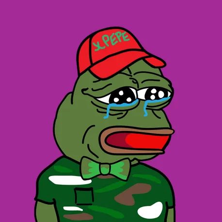<a href="/IhodlD/">iHodlD</a> <a href="/JoelKatz/">David 'JoelKatz' Schwartz</a> <a href="/xPEPENFT/">xPEPE🐸</a> Just took a peek 👀 Very nice!