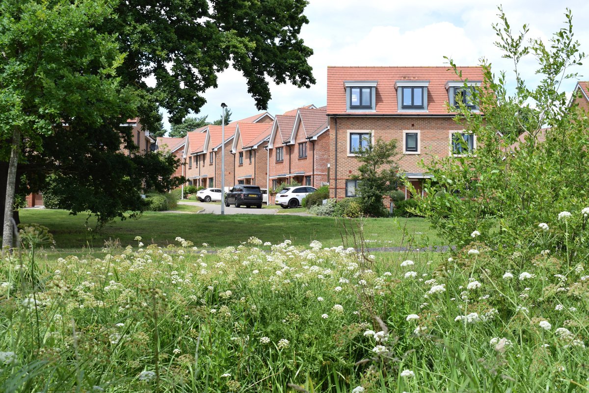 WCL_News's tweet image. Government proposals could lead to 97% of planning applications avoiding rules to compensate for the nature they destroy 🥀
To keep its promises on nature recovery, Government should abandon proposals to exempt all small sites, & close wider Biodiversity Net Gain loopholes 🏡…
