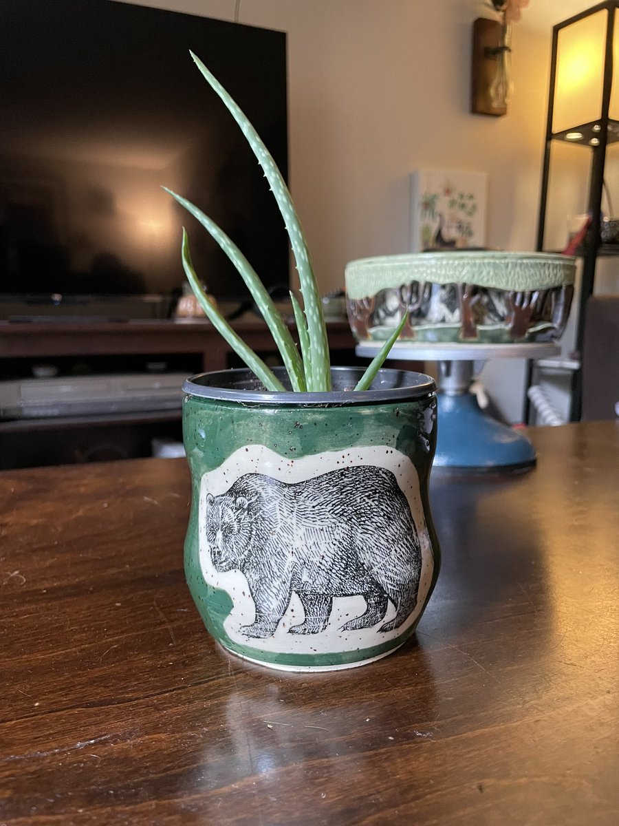 fire_pottery's tweet image. A failed mug turned planter! Pottery is all about adapting