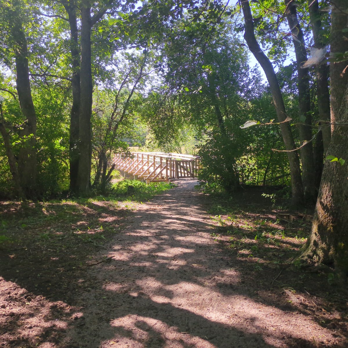 Shacozzi's tweet image. ✅ Uni application accepted
✅ Last work day before vacation 
✅ Blue sky outside
✅ T1 downfall