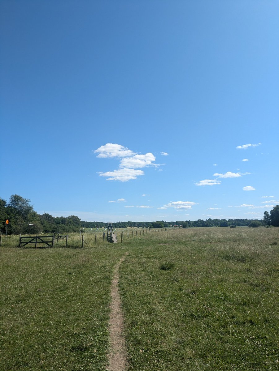 Shacozzi's tweet image. ✅ Uni application accepted
✅ Last work day before vacation 
✅ Blue sky outside
✅ T1 downfall