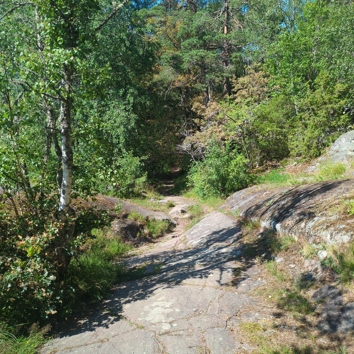 Shacozzi's tweet image. ✅ Uni application accepted
✅ Last work day before vacation 
✅ Blue sky outside
✅ T1 downfall