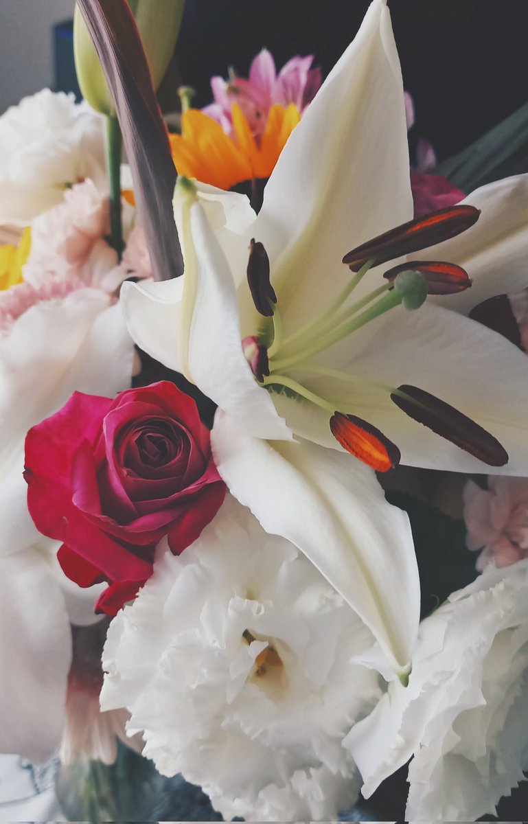 espr___'s tweet image. 花束 貰った瞬間はとても嬉しいし
花が開くごとに愛おしさが増す