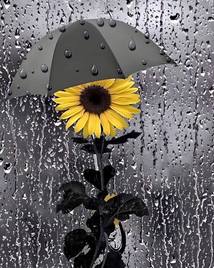 Conocer a otros es inteligencia, conocerte a ti mismo es la verdadera sabiduría. 
Controlar a los otros es fortaleza, controlarte a ti mismo es el verdadero poder.. 🌻
Lao-Tsé
