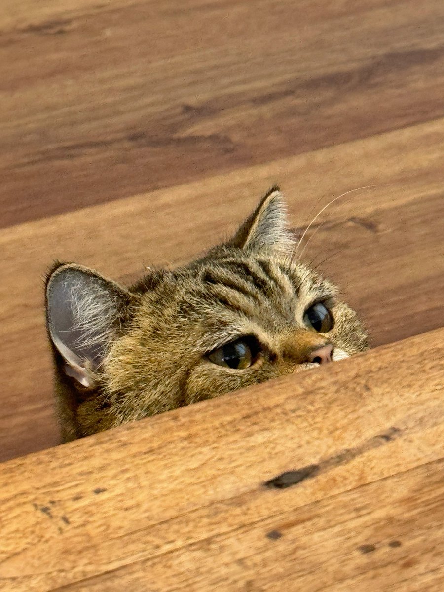 จำได้บ่ได้ก่ะบอกมาา~