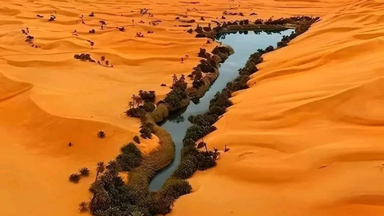 NDTVFood's tweet photo. Stunning Picture Reveals Ubari Oasis: A Hidden Gem In Sahara Desert
https://t.co/EV7WFJ1iBH
#ubari #saharadesert #oasis https://t.co/1kQ1Th4BPh