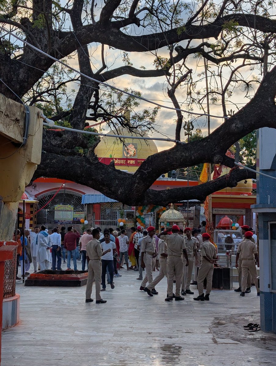 सुधीर सिंह 🇮🇳 tweet media