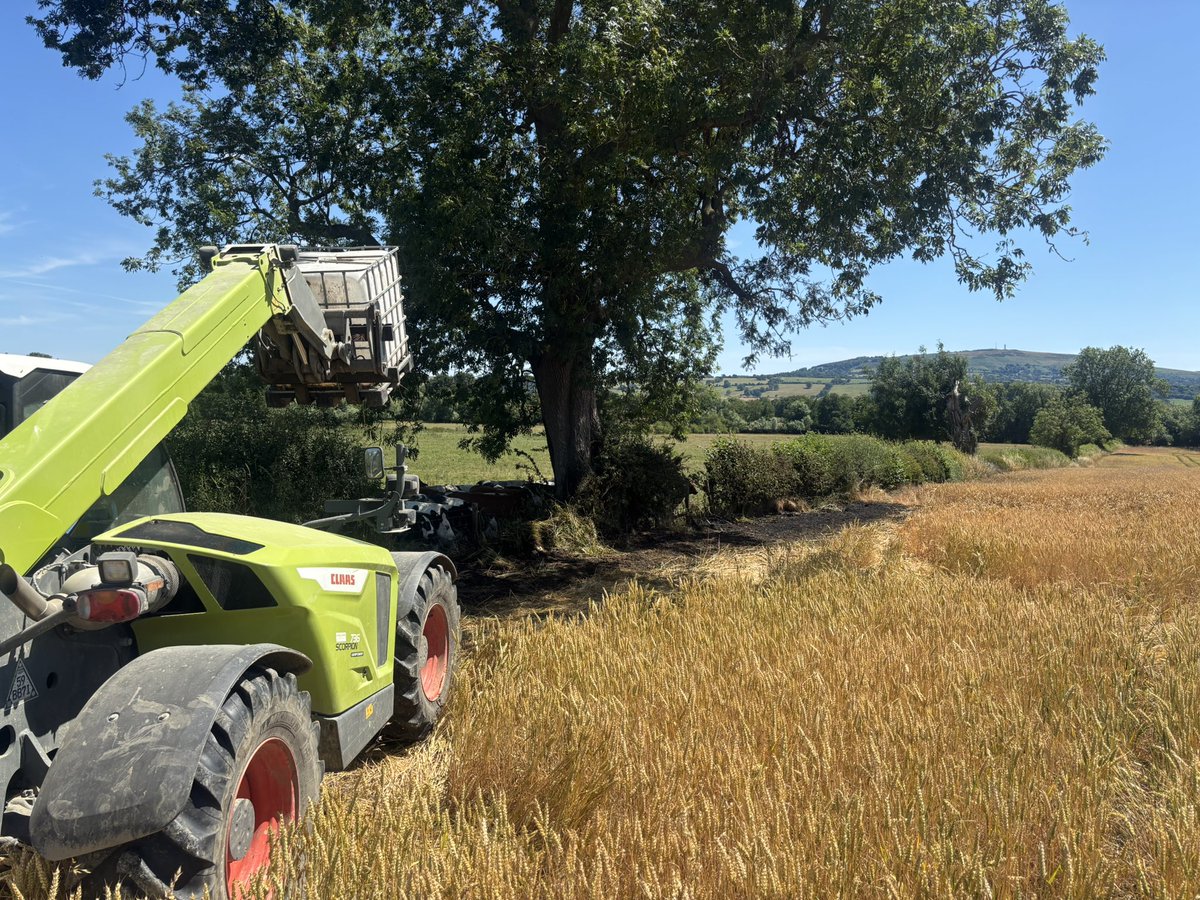 Shropshire Fire and Rescue Service (@shropsfire) on Twitter photo 🚜🔥 Quick-thinking farmer stopped a crop fire in its tracks using a 1000L IBC water tank. A timely reminder: crow scarers near dry crops can spark disaster. Stay alert, stay safe. #FarmFireSafety #RuralResilience
#wildfireaware <a href="/NFUtweets/">National Farmers' Union</a> 🚜🔥 Quick-thinking farmer stopped a crop fire in its tracks using a 1000L IBC water tank. A timely reminder: crow scarers near dry crops can spark disaster. Stay alert, stay safe. #FarmFireSafety #RuralResilience
#wildfireaware <a href="/NFUtweets/">National Farmers' Union</a>