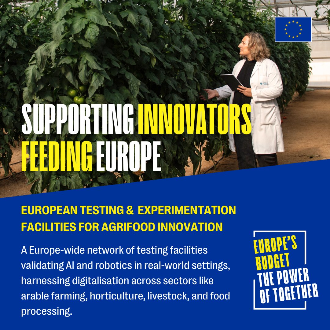 Europe’s budget is investing in smarter food systems.​

AgrifoodTEF tests robotics in agriculture through AI that increases precision and profitability, so farmers can grow healthy, nutritious food.
​
Europe invests where it matters, making a difference for 450m Europeans.