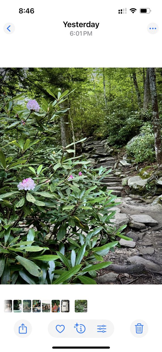 SabbyBentley's tweet image. Good morning, everyone! Have a fabulous day☀️
Each step on this mossy trail whispers: the journey matters more than the destination 🌸💫