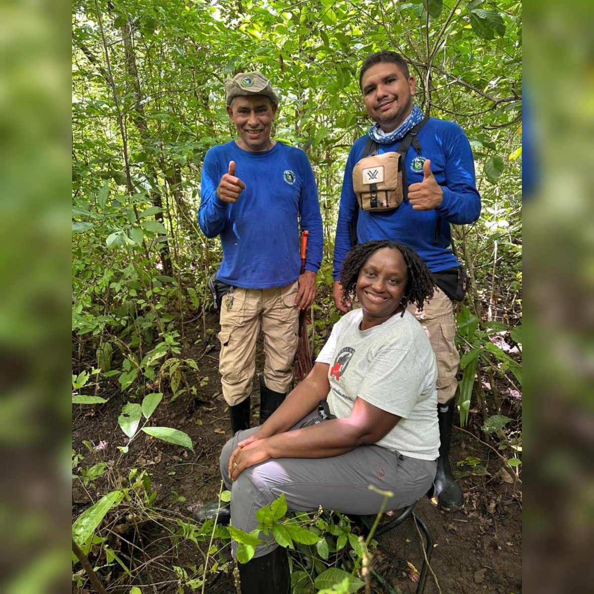DoctorGladys's tweet photo. Recently, when I was in Colombia, I had the opportunity to visit Fundación Proyecto Tití at the invitation of Rosamira Guillén, the Executive Director. I was hosted by Francy Forero Sánchez, the Deputy Director, and her team. The local name for the critically endangered cotton-top tamarins is “titi,” a tiny and very cute monkey that people often like to keep as pets. This fuels the illegal wildlife trade, which has contributed significantly to their decline. Seeing them in their natural habitat was amazing. They were curious and adorable. It was also wonderful to see and hear the red howler monkeys and catch a glimpse of the red squirrels 🐿️.

I was excited to meet a coffee farmer at the edge of the forest. He told me, “I like the birds. They eat the insects which destroy the coffee berries.”

It was especially meaningful to spend time with an artisan who leads a women’s group making cuddly toys and beautiful bags out of recycled plastic. She even taught me how to make a bag!

Thank you so much, Proyecto Tití, for such an incredible visit, and a big thank you to the Wildlife Conservation Network for making this possible.
@fforerosanchez