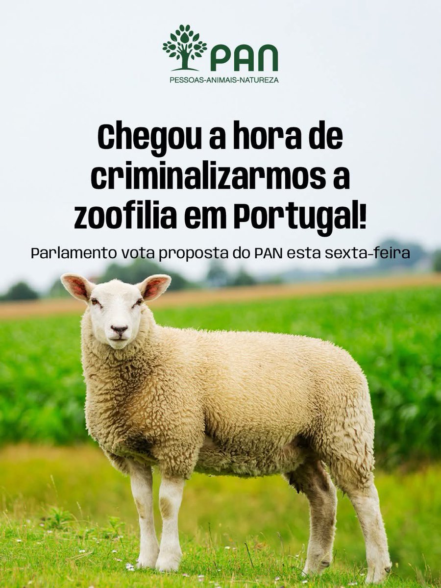 pedro ribeiro tweet media