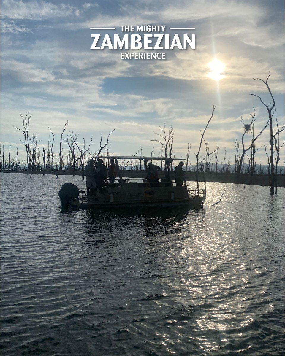 Throwback to our Spurwing Island adventure! 24 Zambezi Lager winners enjoyed fishing, game drives, and one even won $5,000! Epic memories from the heart of Zimbabwe. 🤩 #ZambezianExperience #ZambeziLager