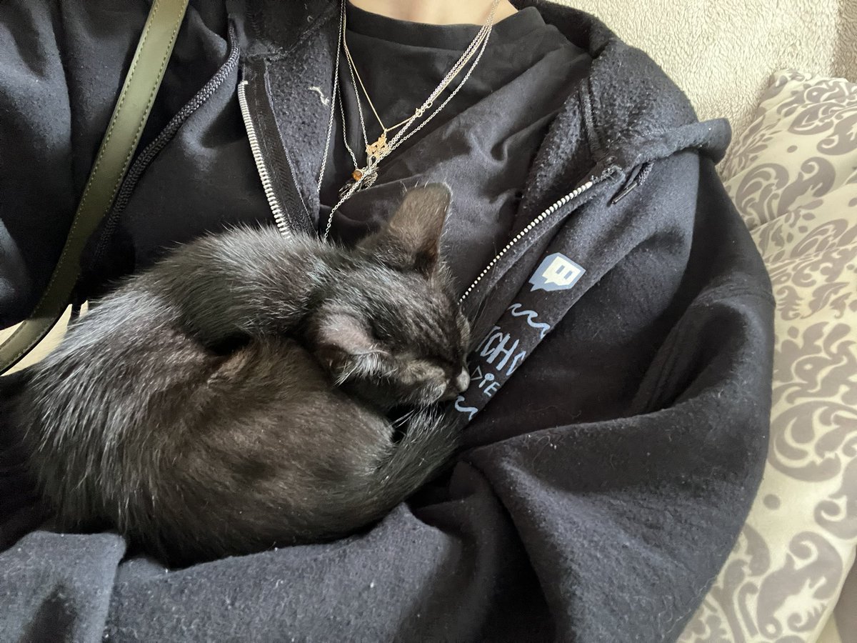 iinneo's tweet image. Please welcome Mayo (short for her legal name mayonnaise) 
I adopted her yesterday and as it turns out she’s quite ill; please manifest a speedy recovery, so she can meet Boo, her soon to be, big sister 🥹🧡