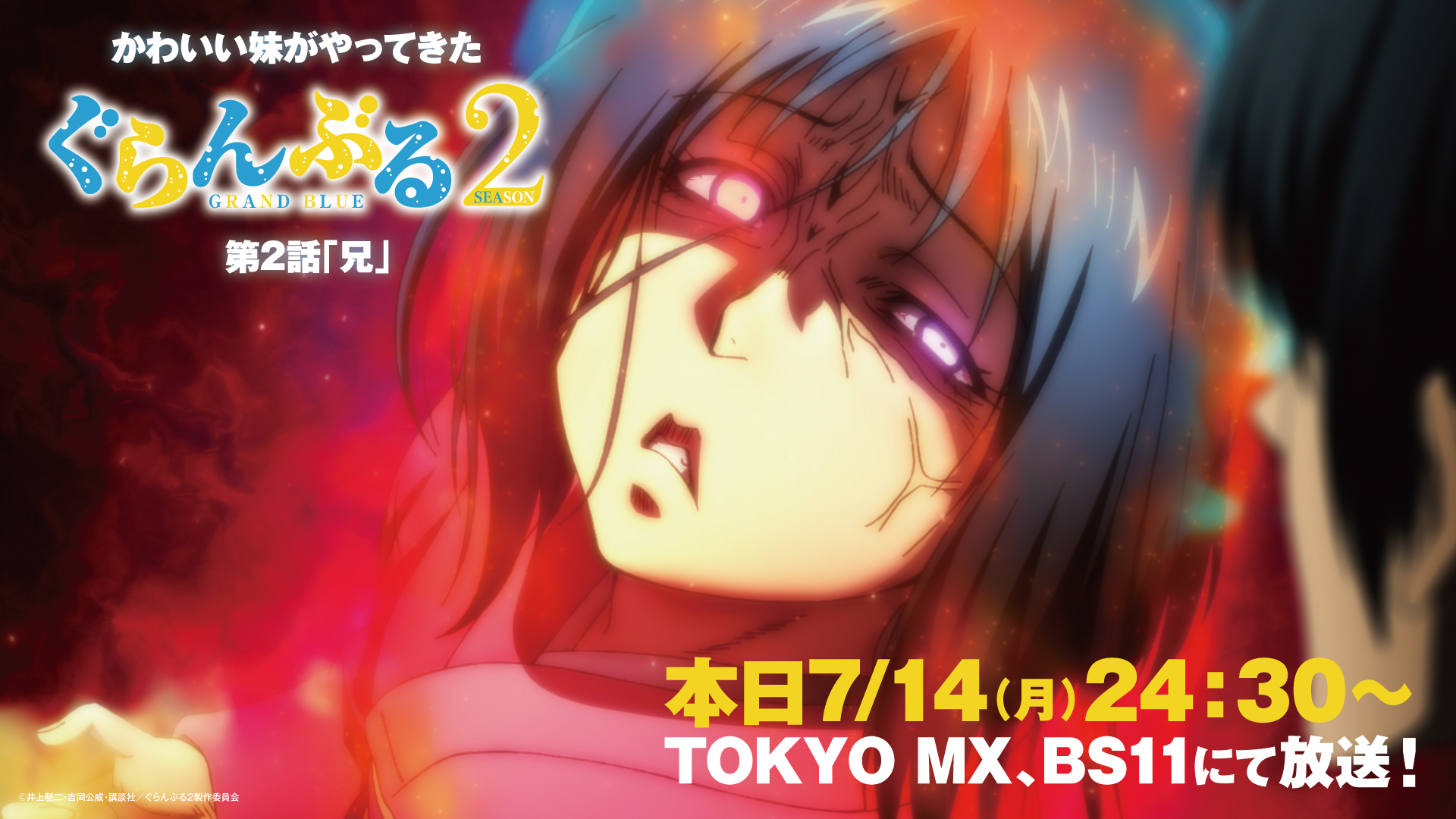 【アニメ2期放送開始】ぐらんぶる 最新24巻セット Amazon.co.jp: ぐらんぶる(24) (アフタヌーンKC) : 井上 堅二