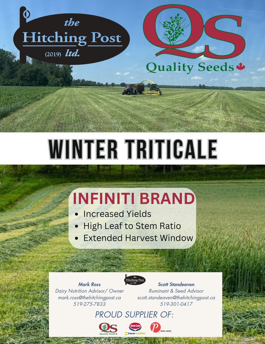 The Hitching Post (2019) Ltd (@hitchingpost19) on Twitter photo Itโs time to start thinking about Winter Forage again! Our partnership with <a href="/QualitySeedsLtd/">Quality Seeds Ltd</a> helps us provide a full lineup of Winter Forage options. NEW this year, AB SNOWCAT a proven winter hearty variety that packs on tonnage and quality. 10% Early order discount until 31/7/25 Itโs time to start thinking about Winter Forage again! Our partnership with <a href="/QualitySeedsLtd/">Quality Seeds Ltd</a> helps us provide a full lineup of Winter Forage options. NEW this year, AB SNOWCAT a proven winter hearty variety that packs on tonnage and quality. 10% Early order discount until 31/7/25