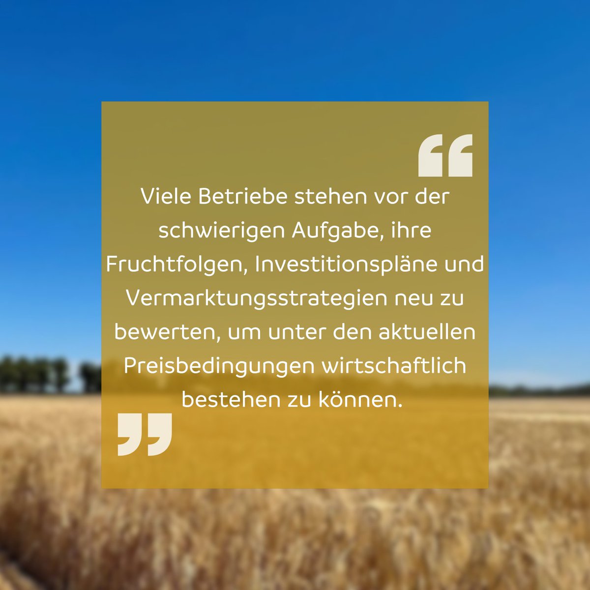 🌾 Gerstenernte 2025 überrascht mit Top-Erträgen – Preise enttäuschen.

Trotz Trockenstress &gt;9,5 t/ha möglich.
Doch: Markt unter Druck, Kosten bleiben hoch.

Mehr erfahren unter: dlg.org/magazin/trocke…