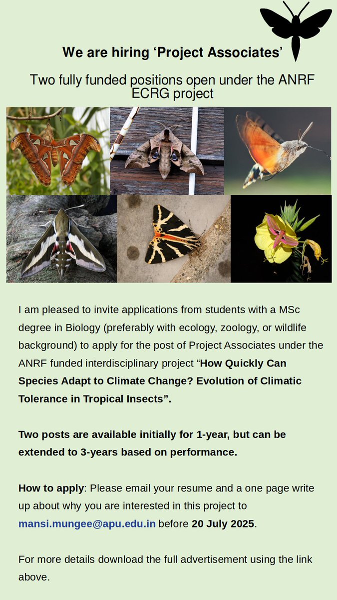 Mansi Mungee (@mansimungee) on Twitter photo 🐛🧬🌳🦋 Love ecology + the forests? Want to learn phylogenetics + programming? We’re hiring 2 Project Associates for an <a href="/ANRFIndia/">Anusandhan National Research Foundation</a> funded exciting new study on Himalayan moths & climate chang. Apply by 20 Jul 2025! #Ecology #Jobs See full ad drive.google.com/file/d/1aDEtQr… 🐛🧬🌳🦋 Love ecology + the forests? Want to learn phylogenetics + programming? We’re hiring 2 Project Associates for an <a href="/ANRFIndia/">Anusandhan National Research Foundation</a> funded exciting new study on Himalayan moths & climate chang. Apply by 20 Jul 2025! #Ecology #Jobs See full ad drive.google.com/file/d/1aDEtQr…
