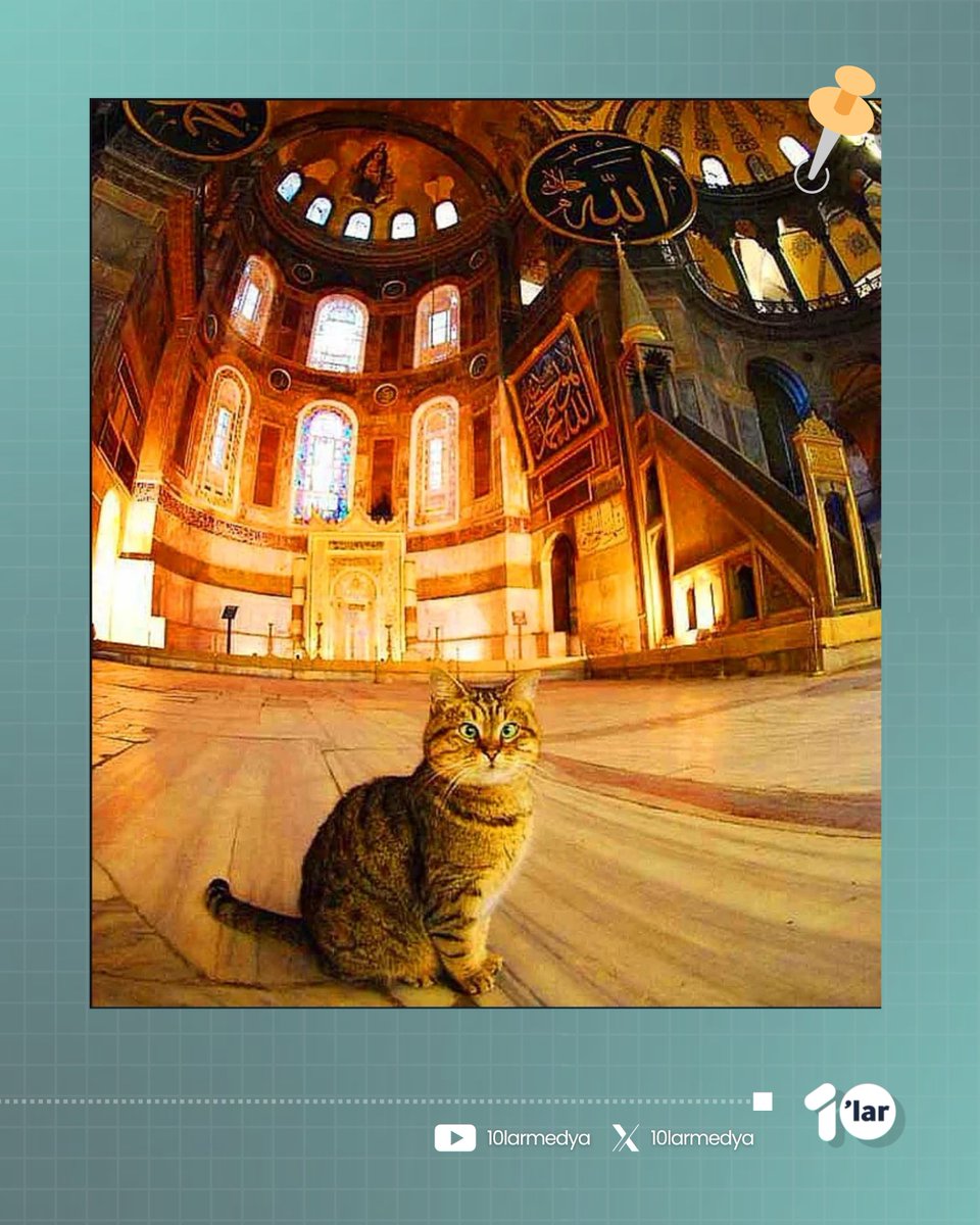 📌 Ayasofya'nın yeniden cami statüsüne kavuştuğu Cumhurbaşkanlığı Kararnamesi'nin üzerinden 5 yıl geçti

▪️ Ayasofya 5 yıldır Müslüman nüfusu ve sevimli gedisi Gli’yi ağırlıyor