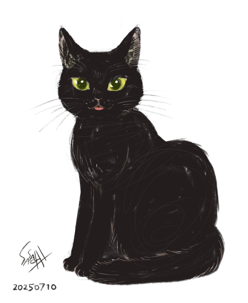 「ムサシ」猫イラスト（原画） 猫イラスト「ムサシ」原画 | iichi 日々の暮らしを心地よくする