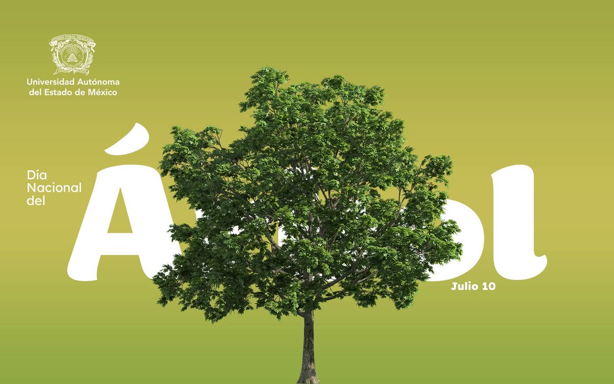 🌱 En el #DíaDelÁrbol reconocemos el papel vital que desempeñan en nuestra vida ya que purifican el aire, regulan el clima y nos conectan con la naturaleza.