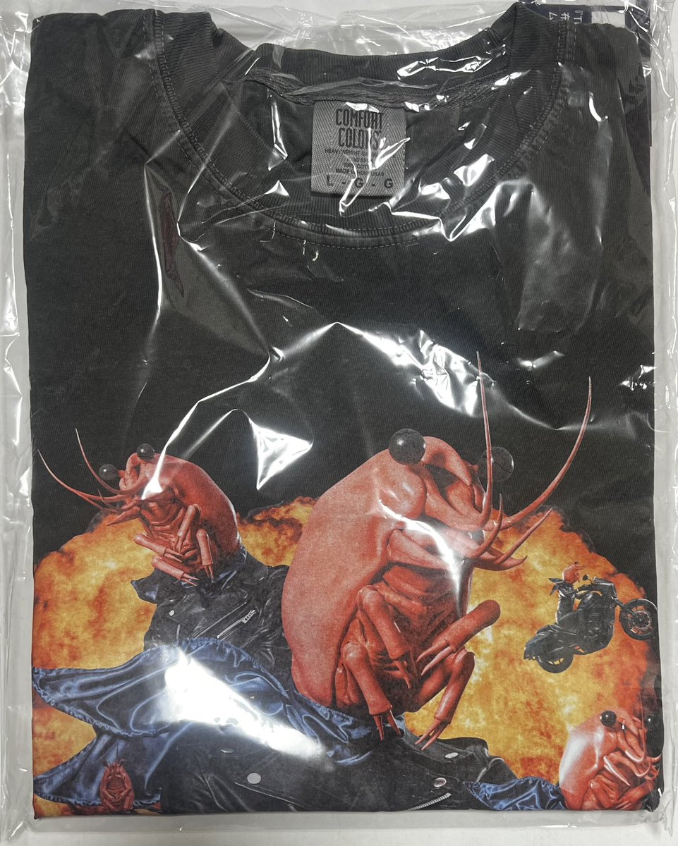 20周年なので - Search / X