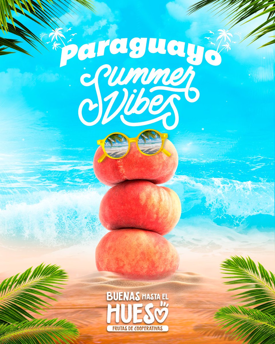 Fruta_de_Hueso's tweet image. 🍑☀️ Paraguayo Summer Vibes
Hay sabores que gritan verano… y este lo hace desde la primera mordida 🤤

Dulce, jugoso y bueno hasta el hueso 😍

Playa, #paraguayo y sol. No hace falta más. Solo disfrutar el momento y saborear lo que sí que vale la pena 😉

#BuenasHastaElHueso