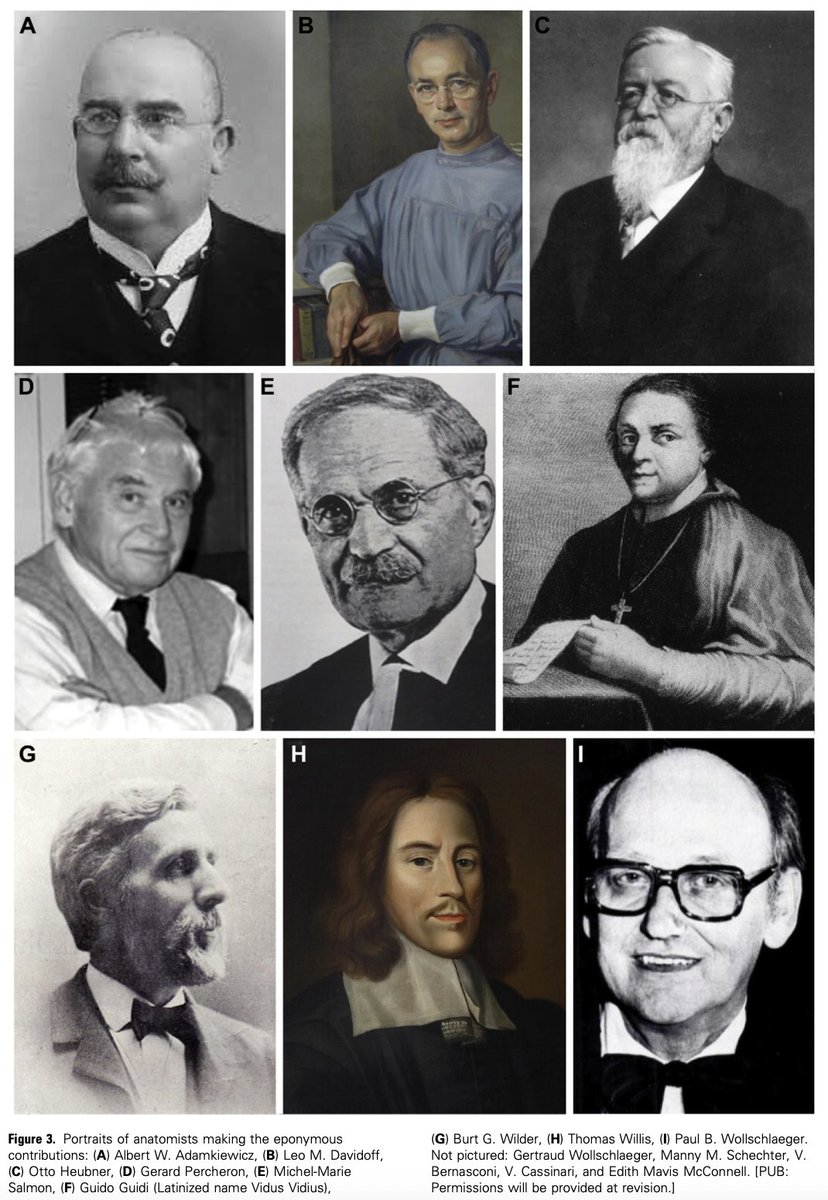 S_Pesch's tweet image. Some of the more and less well-known #eponyms of #cerebral and #spinal #arteries. 
Did I forget anything? 
For further reading, I recommend this interesting article:
doi.org/10.1016/j.wneu…

@PeterMLawrence1 @neuroangio1 @Taka_Tamaso @Michihiro1966 
#aneurysm #neurosurgery…