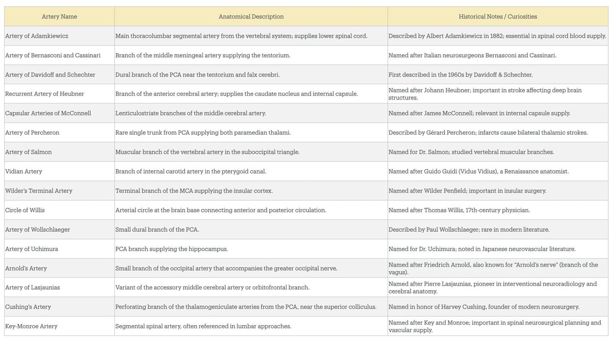 S_Pesch's tweet image. Some of the more and less well-known #eponyms of #cerebral and #spinal #arteries. 
Did I forget anything? 
For further reading, I recommend this interesting article:
doi.org/10.1016/j.wneu…

@PeterMLawrence1 @neuroangio1 @Taka_Tamaso @Michihiro1966 
#aneurysm #neurosurgery…