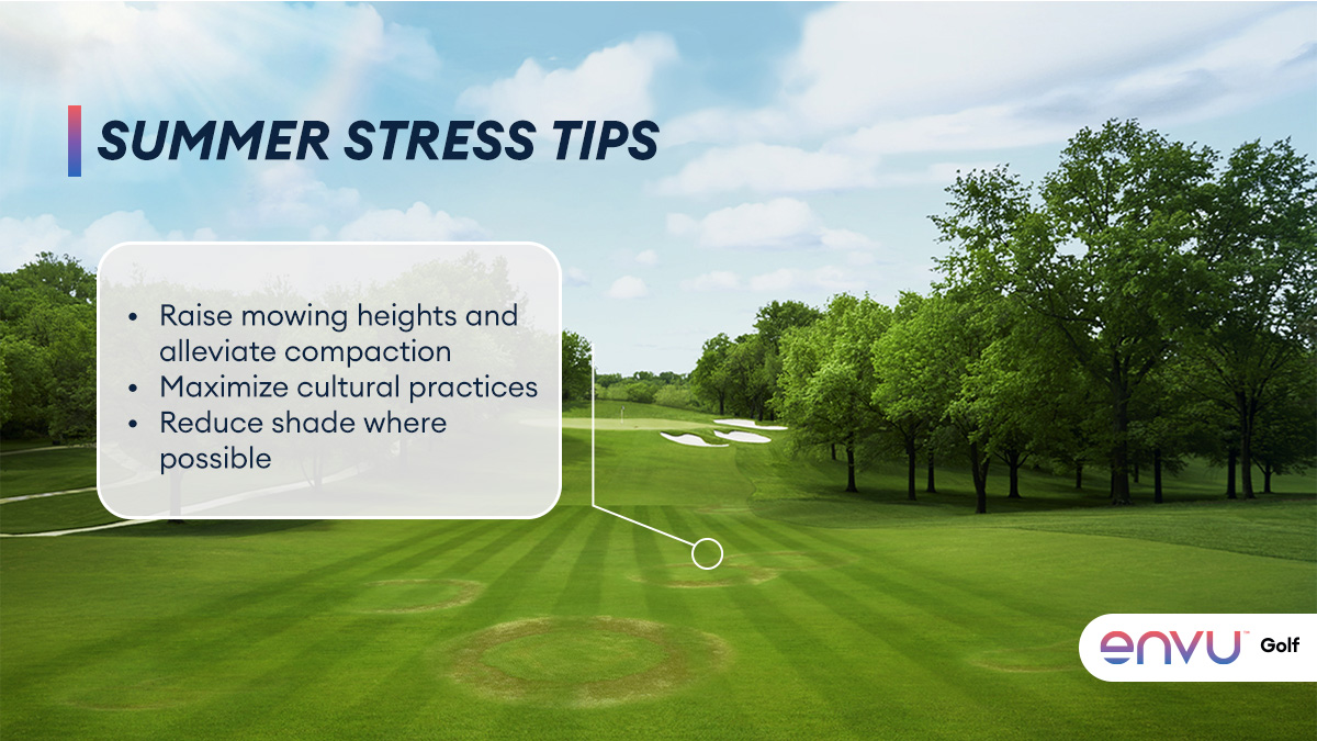 Summer is great for warm-season turf. ☀️ However, increased soil temps can also lead to damaging, root-affecting diseases, which can impact photosynthesis and carbohydrate production. Check out these tips and more to take care of your turf this summer. bit.ly/3IgSW0T