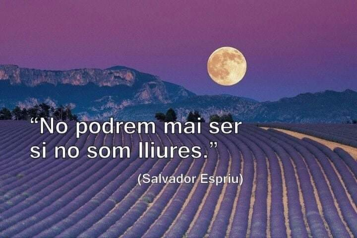 Agustí (@agusti_argimon) on Twitter photo 