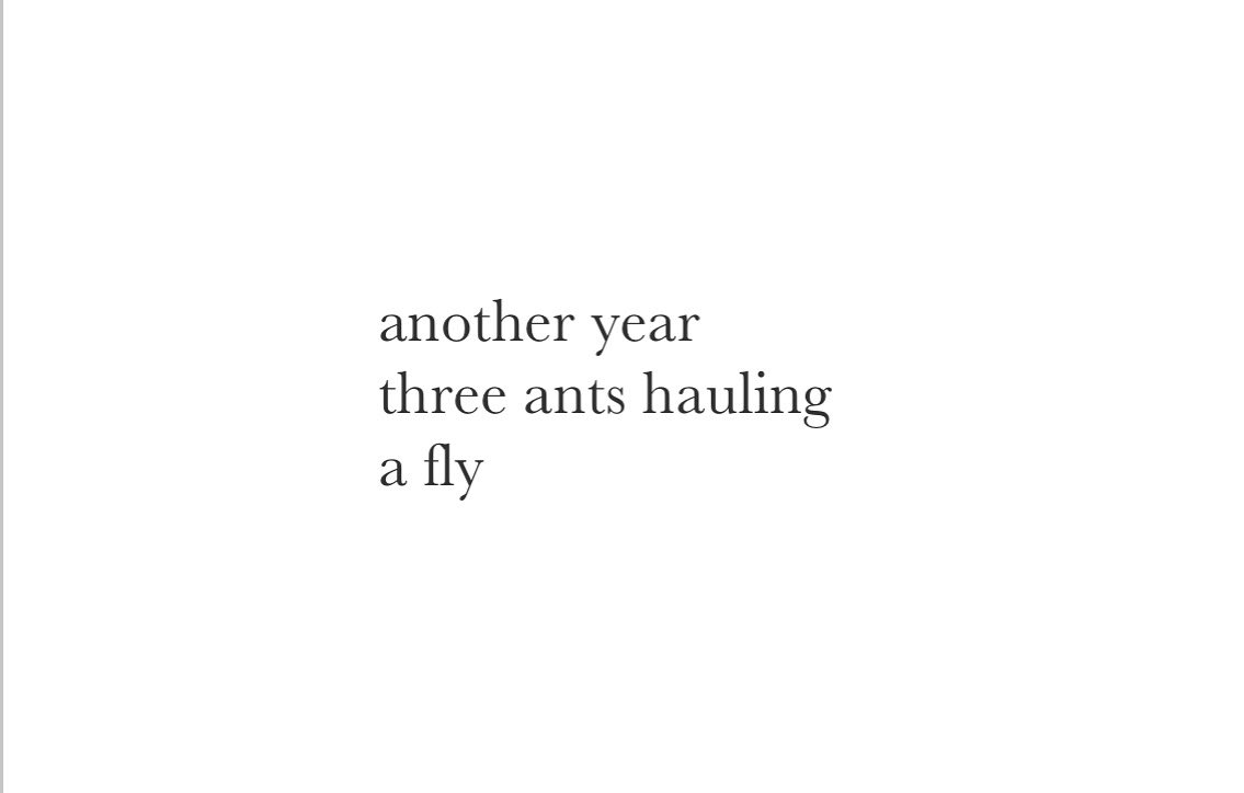 FreshoutMag's tweet image. #haiku by Laurence Stacey. Laurence teaches English/Lit. at #KennesawStateUniversity. He is the recent coauthor of “Before the Earth: Haiku and Haikai.” He is also a longtime martial artist, & explores connections between the disciplines he enjoys. #poetry #ants #poetrylovers
