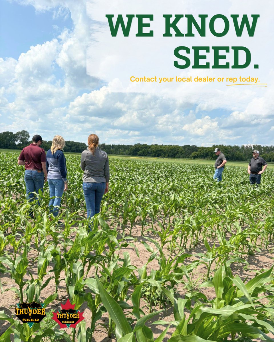 Why choose Thunder Seed?

🌾 4 generations. 3 family farms. 
🚜 Young, driven, and growth-minded. 
🌱 Focused on profit-driven innovation.

And most of all, we put in our crop every spring &amp; take it off every fall—just like you. We’d never sell seed we haven’t tested ourselves.