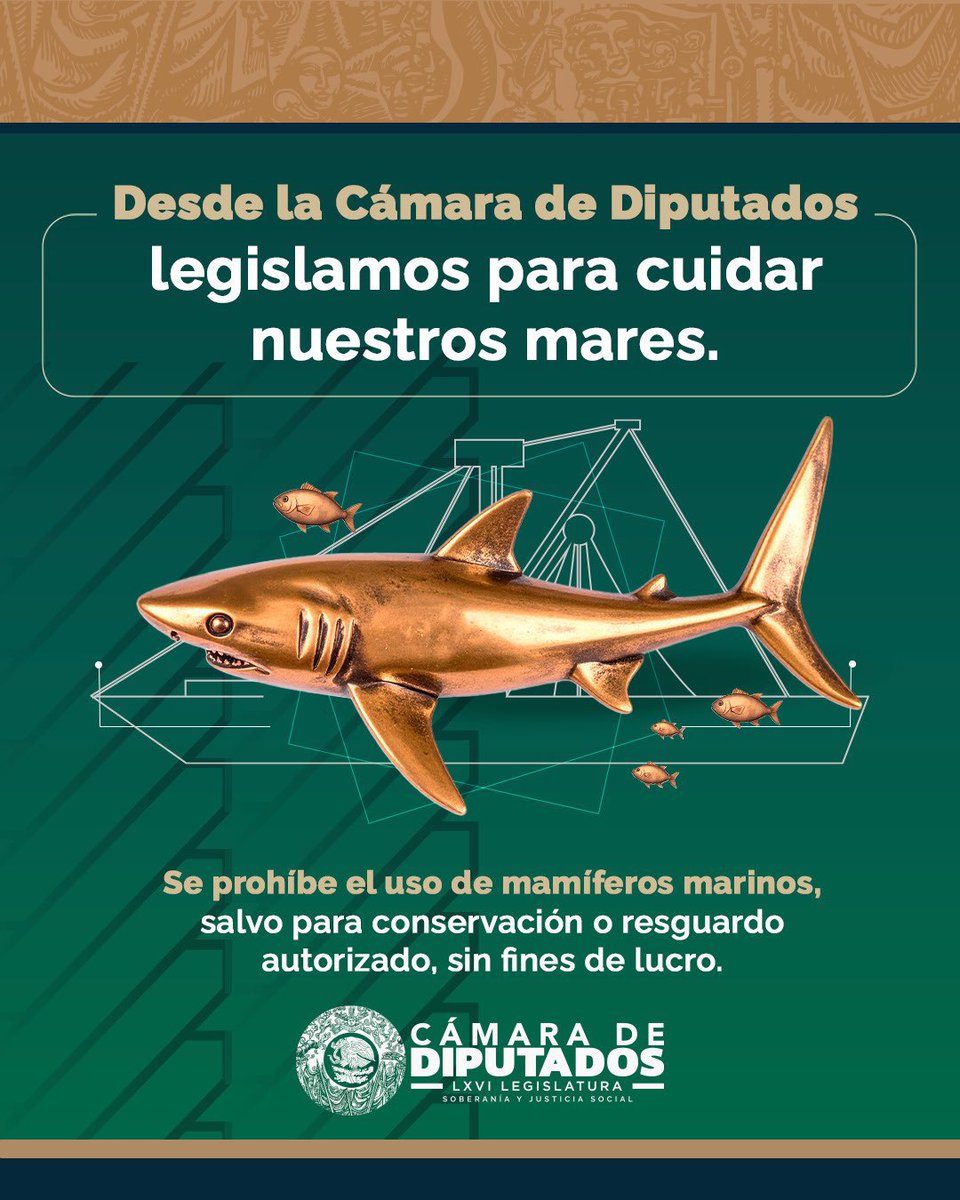 “Se prohíbe el uso de mamíferos marinos”

*ponen un tiburón…

😂😂😂🦈🦈🦈

Somos gobernados por bestias analfabetas.