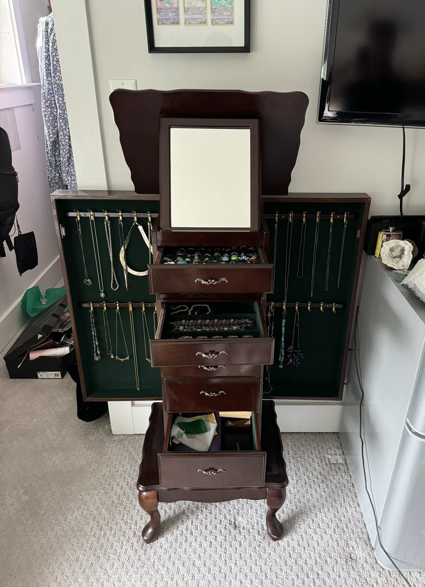 Look at my fetching new jewelry case