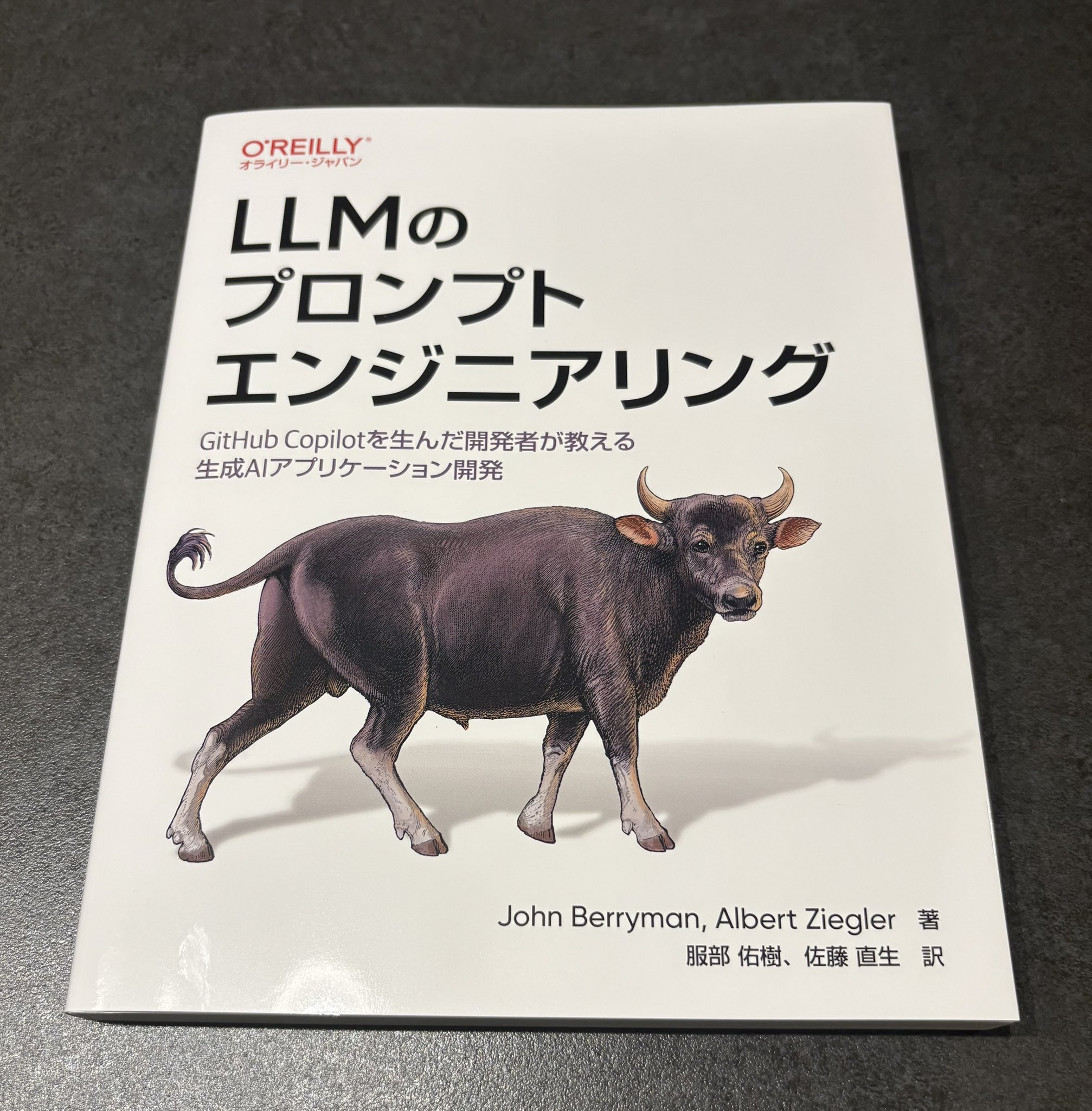 LLMのプロンプトエンジニアリング Amazon.co.jp: LLMのプロンプトエンジニアリング ―GitHub