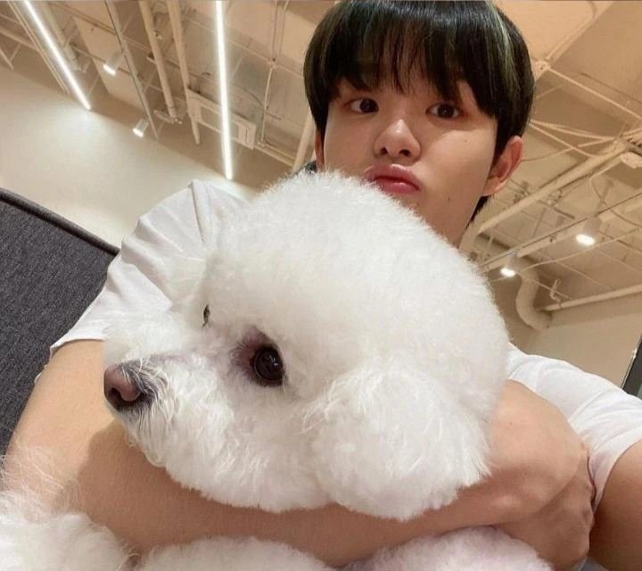 Yang paling gemas. <a href="/pavkjihoonie/">Ji!</a>