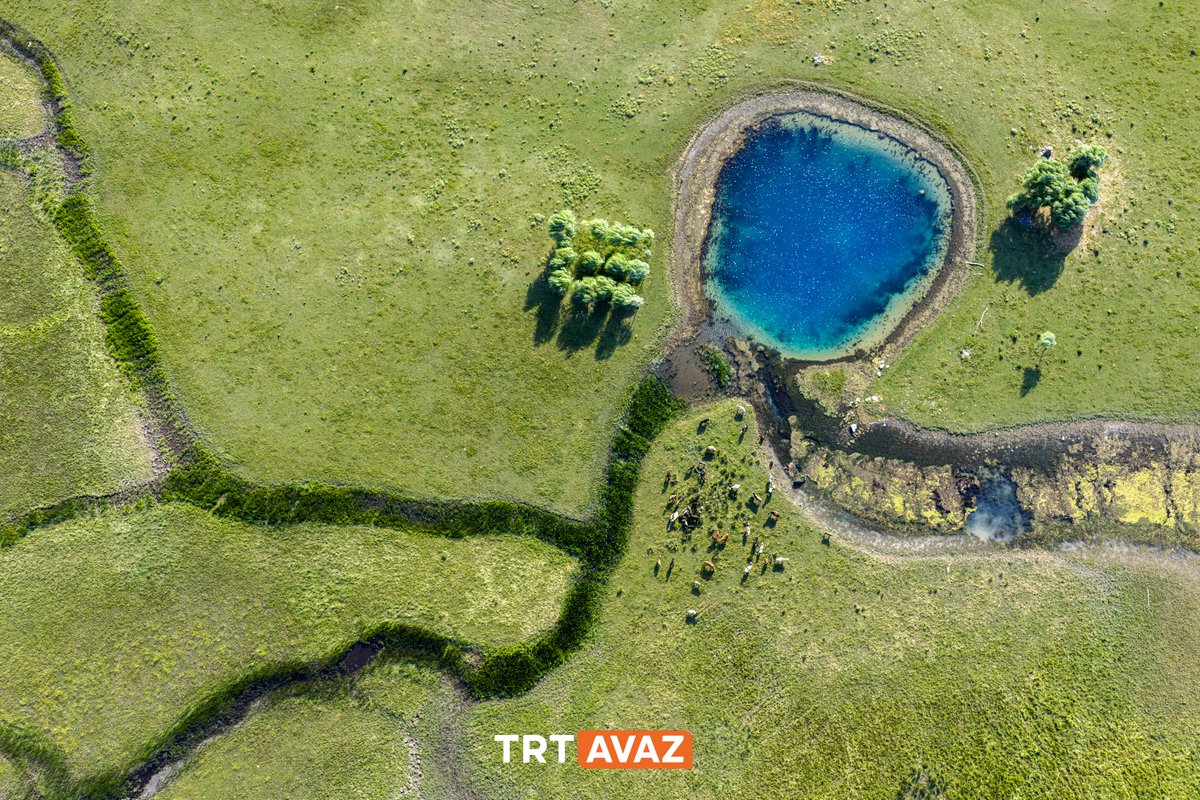 Türkiye’nin en büyük tatlı su göllerinden biri olan Beyşehir Gölü’nde, kuraklık nedeniyle su seviyesinin düşmesi sonucu daha önce göl suları altında kalan ve gölü besleyen yeni gözeler gün yüzüne çıktı.