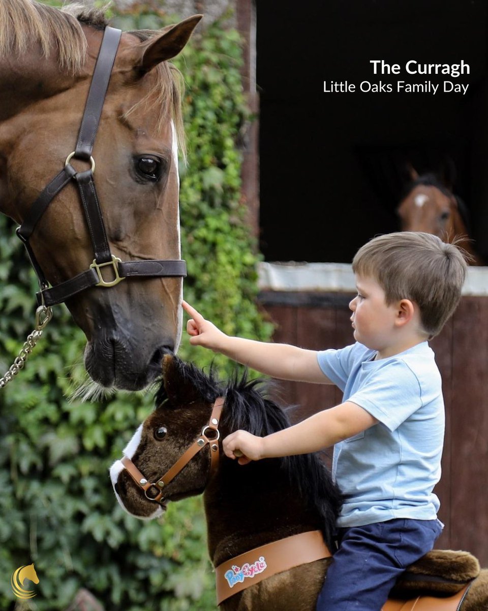 #Summer is in full bloom this weekend in #Ireland 🌞🍀
Come discover the most #familyfriendly destinations with #HorseCountry where stories, horses, and adventures await. 

Explore all family day out tour here: horsecountry.ie/blog/family-ho…

#ThingsToDoInIreland #DiscoverIreland