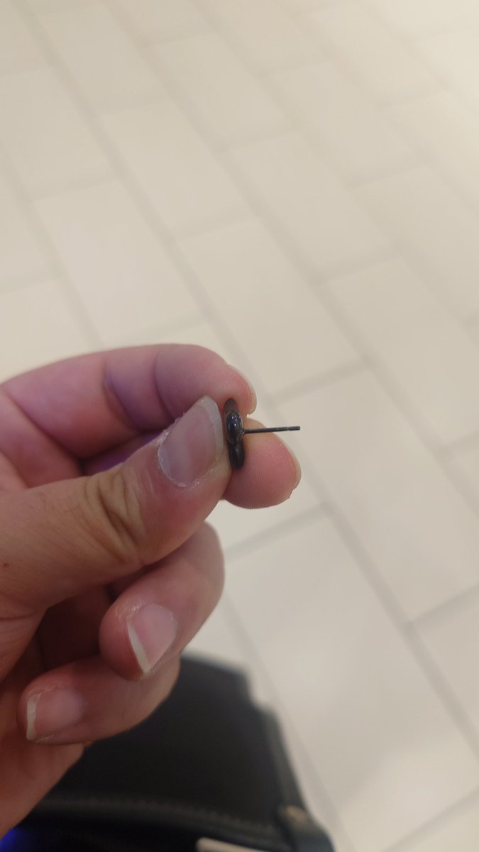 道歩いていたら靴にこれが刺さった
幸い怪我はなかったけど怖すぎる