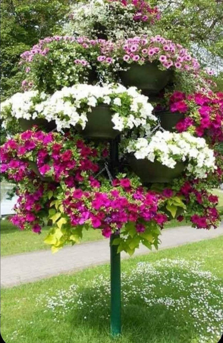 Bojana (@bojanapavlovi6) on Twitter photo 