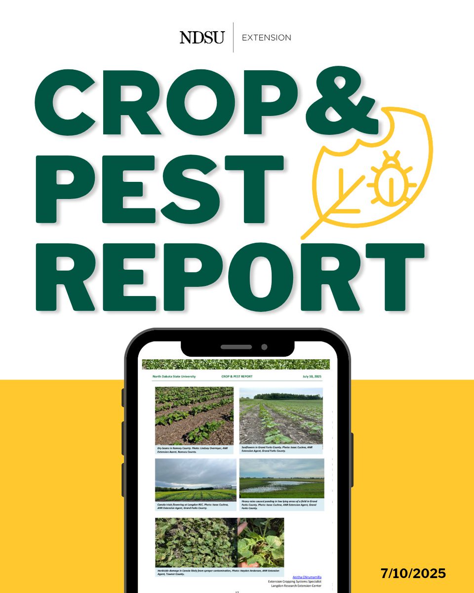 NDSUExtension's tweet image. This week's NDSU Crop and Pest Report is now available ndsu.edu/agriculture/ag…