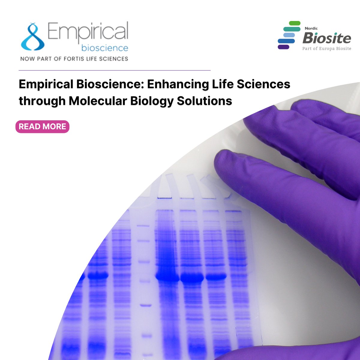 🔬 Reliable PCR &amp; qPCR reagents for consistent molecular biology results. #PCR #NordicBiosite