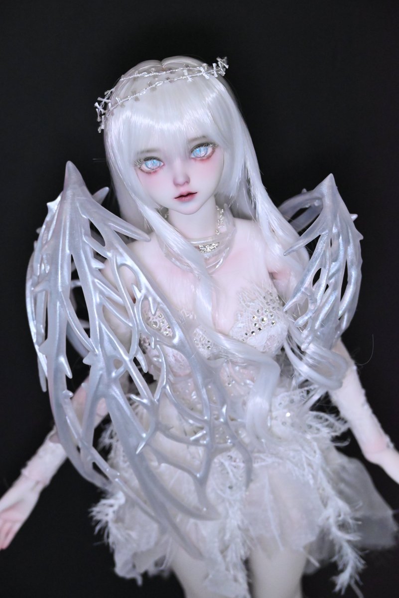 Asleep Eidolon】 【数量＆期間限定】Neve Fullset 実物のお写真です
