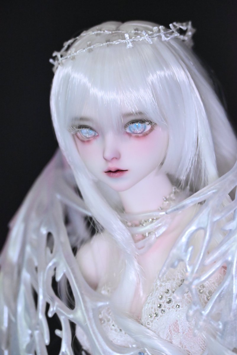 Asleep Eidolon】 【数量＆期間限定】Neve Fullset 実物のお写真です