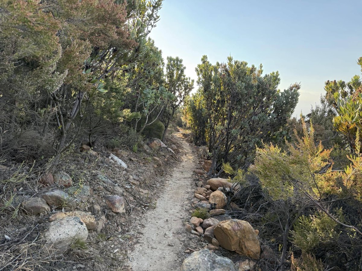 Swap backseats for bike seats, and screen time for trail time. Hike as a family at Murludi or Silwerfontein. Join locals at the Duikersdrift Parkrun. Pedal MTB trails through misty vineyards. Cast a line at a peaceful dam and see who gets the first bite.

tulbaghtourism.co.za