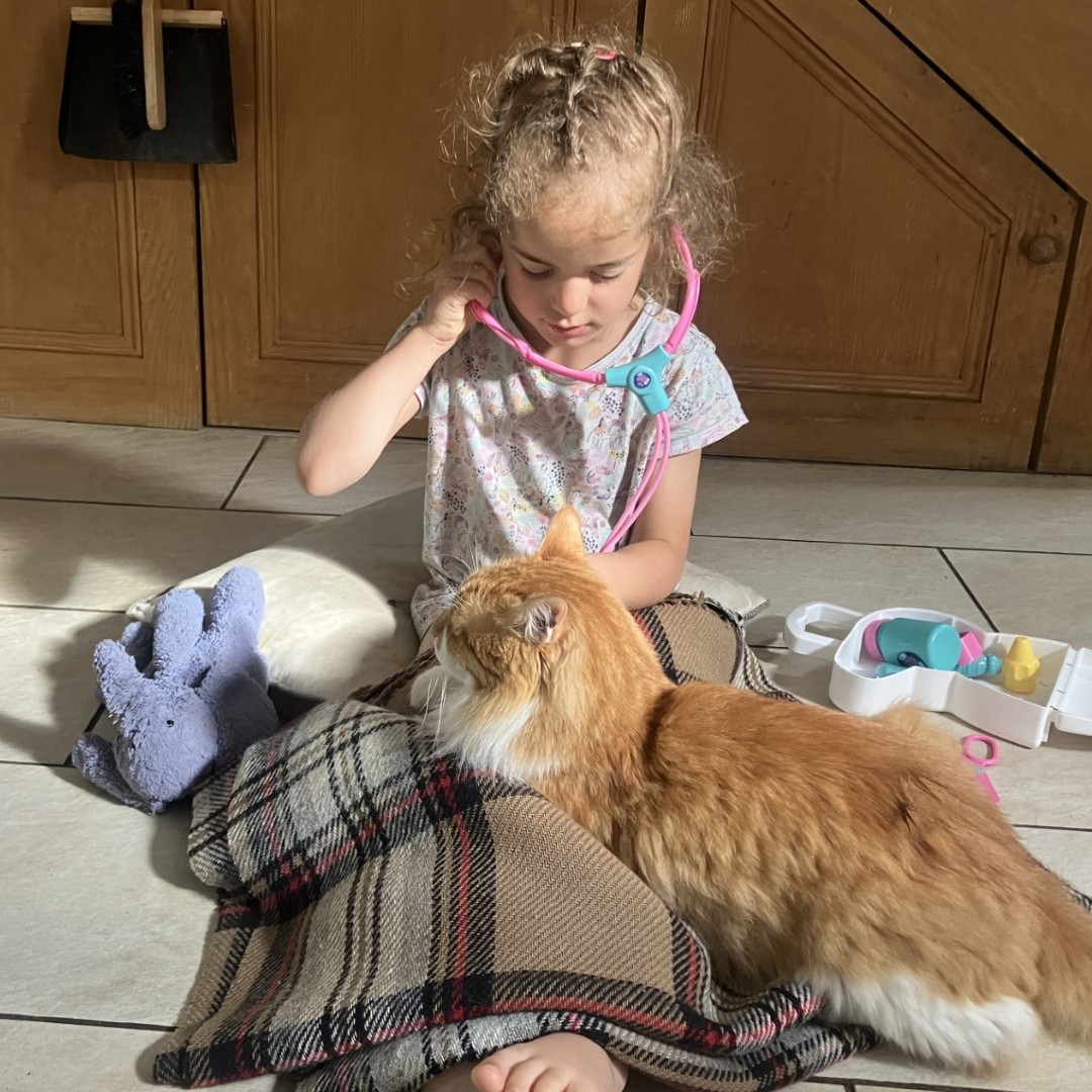 Manjo came to us with severe neurological signs and suspected brain oedema. After treatment at our clinic, he’s back home! 🏡😸 
#ProudlyLinnaeus #ProudlyVillageVet #ManjoTheMiracleCat #FutureVet