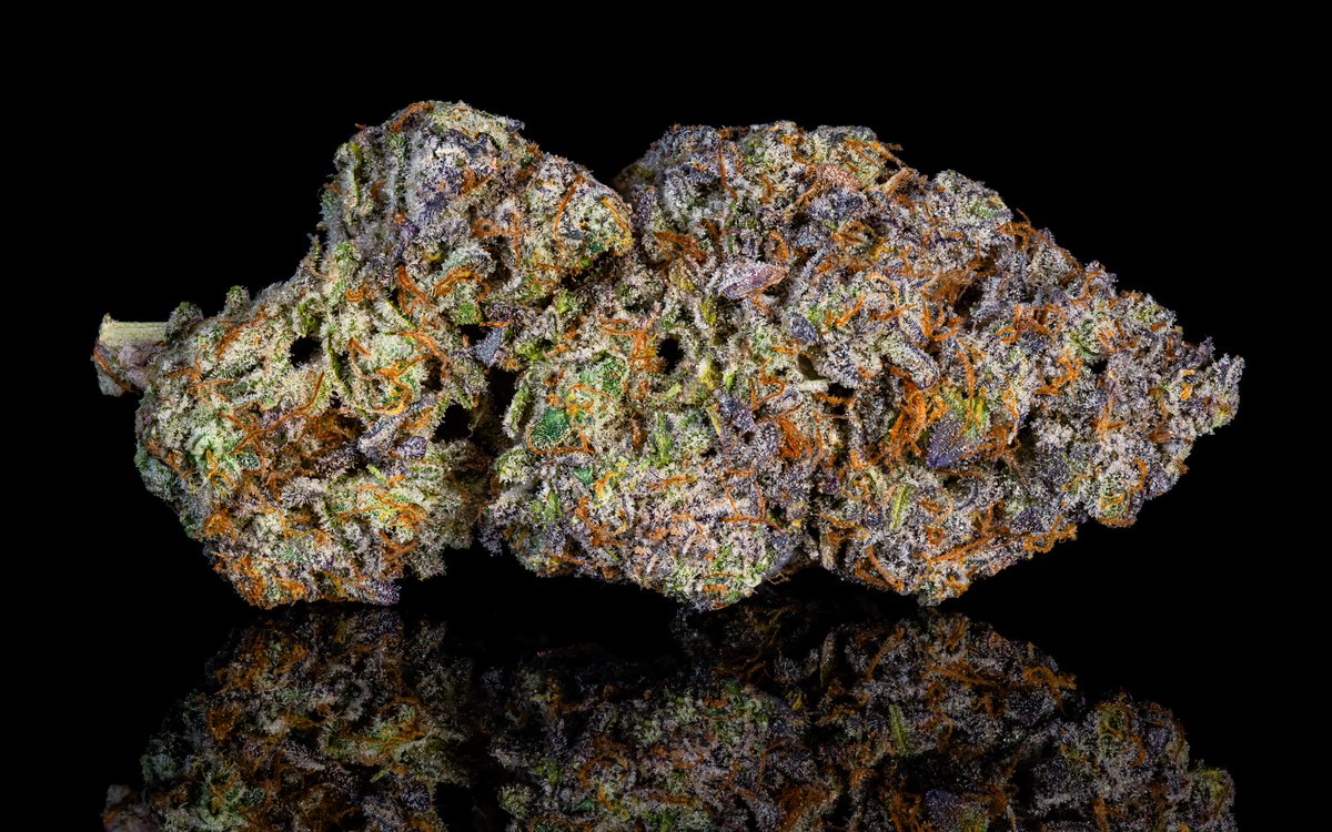 thebudstudio's tweet photo. 'Gorilla Mints #3' continued. https://t.co/AK47wBbgpe