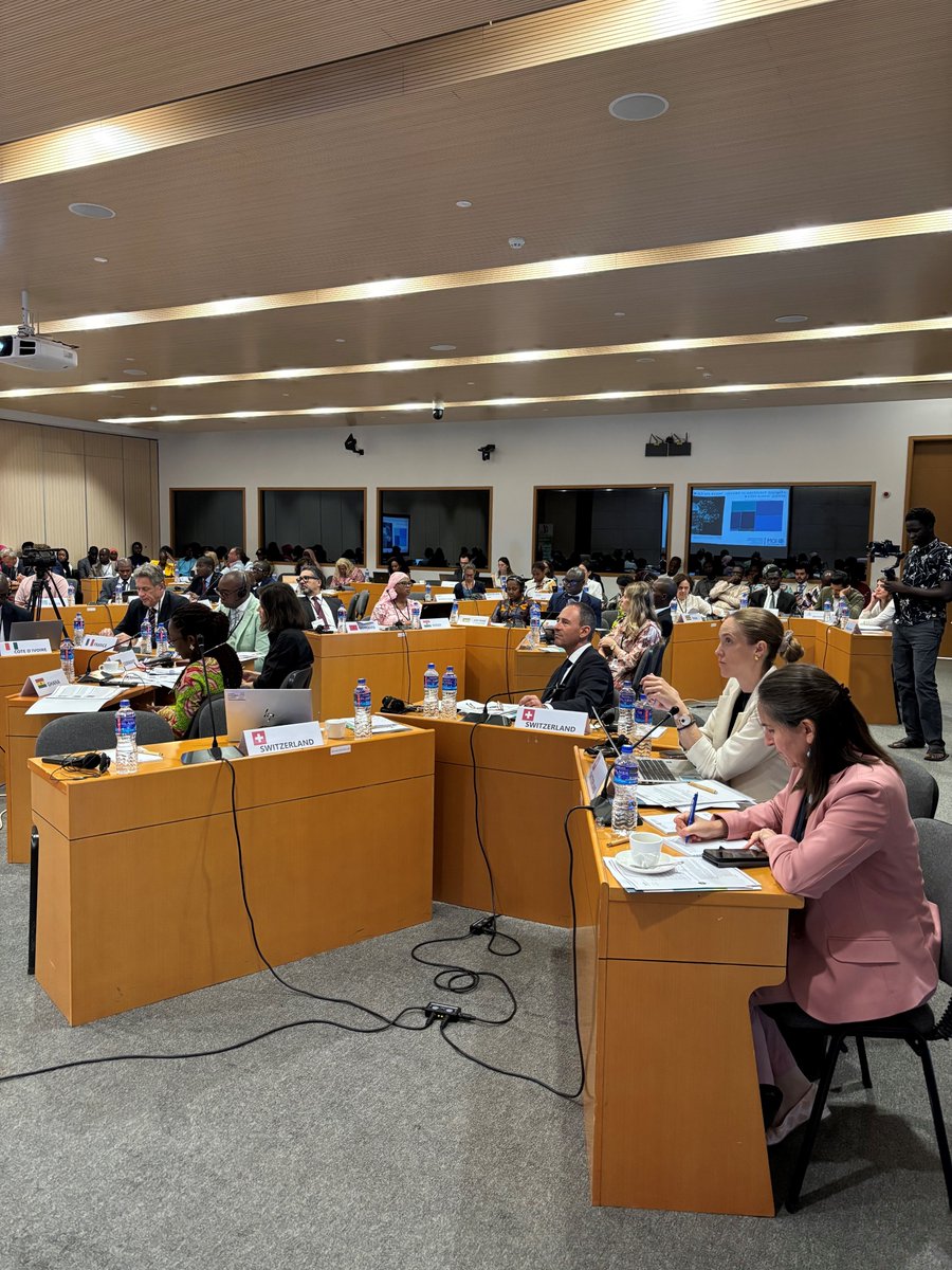 SEMIGRATION's tweet image. The tragedy of #MissingMigrants requires joint action to prevent disappearances and provide answers to affected families. 
🇨🇭 is proud to cochair a thematic meeting of the @Rabat_Process together with 🇬🇲 to advance cooperation on this issue 🤝